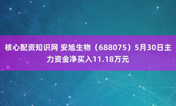 核心配资知识网 安旭生物（688075）5月30日主力资金净买入11.18万元